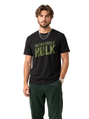 Mr Hulk