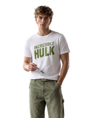 Mr Hulk