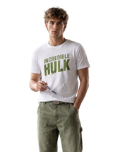 Mr Hulk
